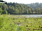 7.27.06 Oaks Bottom 015 